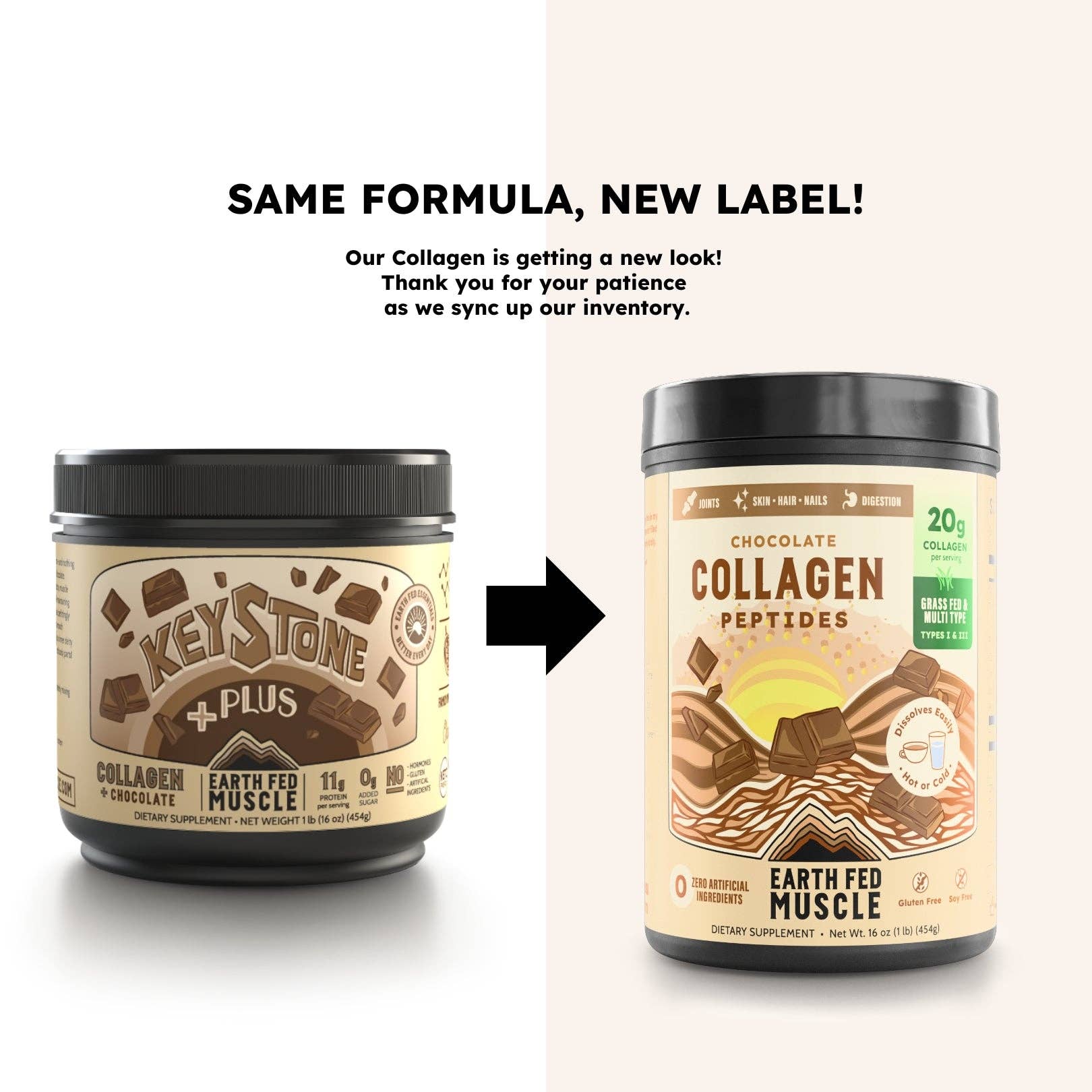 Collagen Peptides, Chocolate