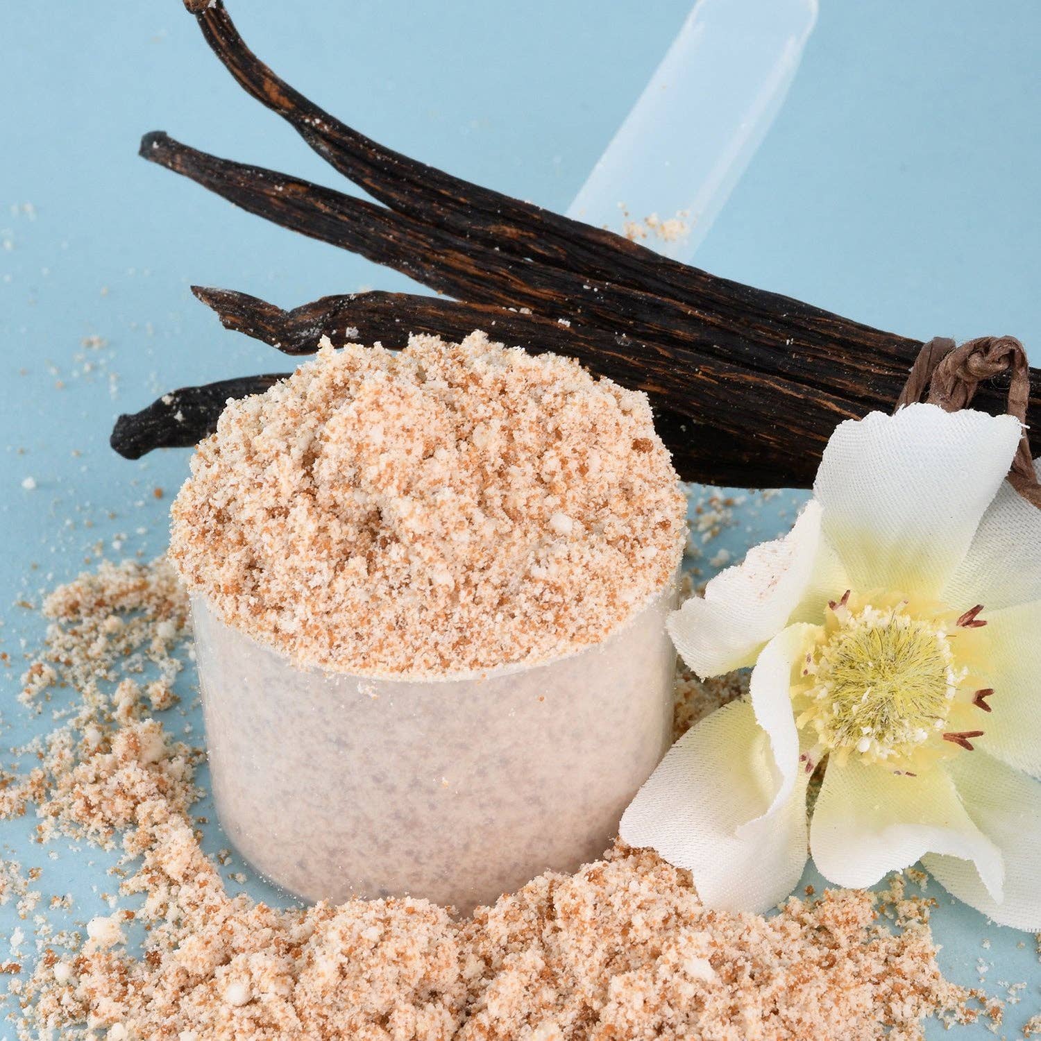 Morning Charge Vanilla Supernutrient Creamer with Lion’s Mane